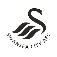 Swansea City Ladies F.C.